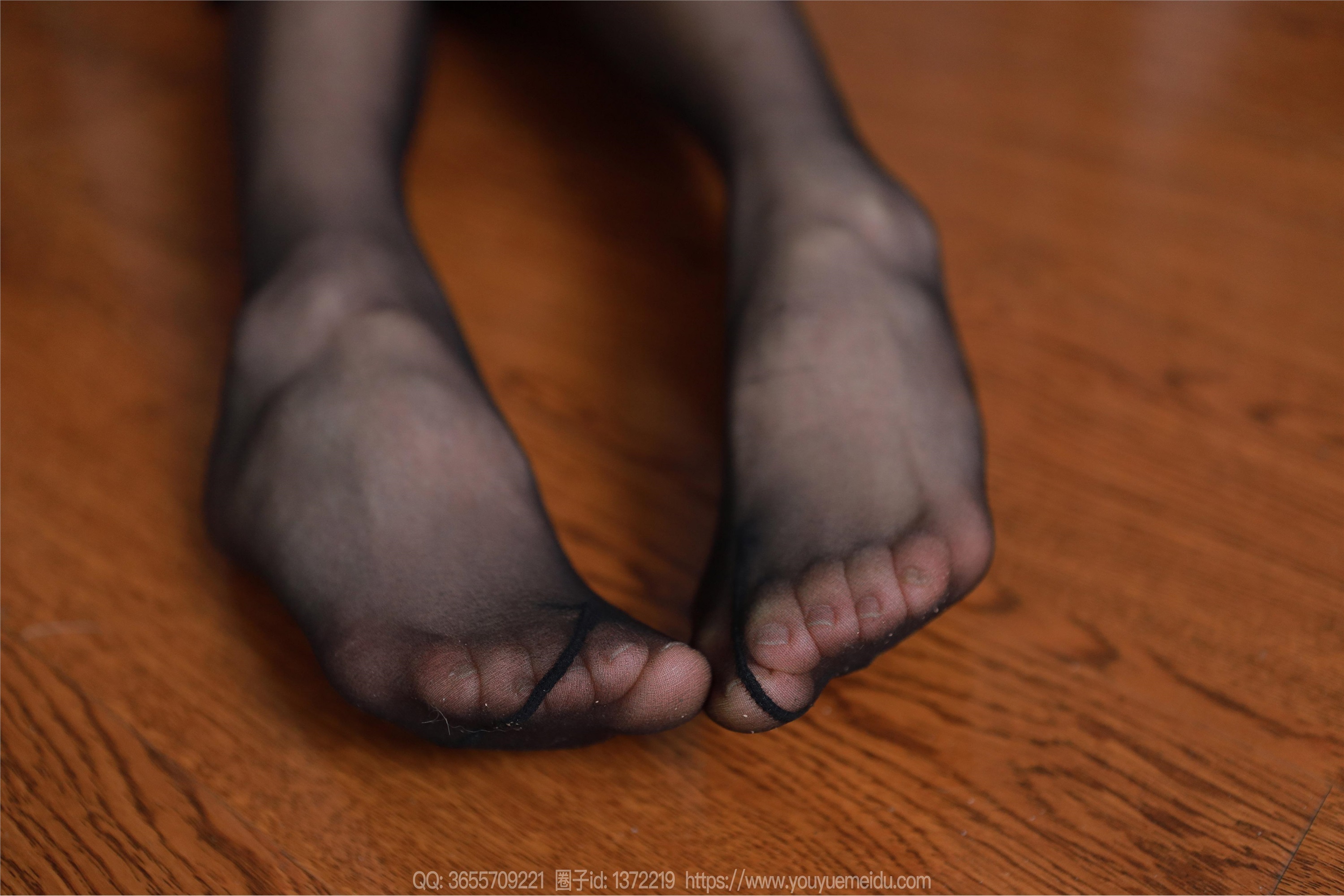 IESS异思趣向  2024.03.14 丝享家 1689 小九《含情脉脉》